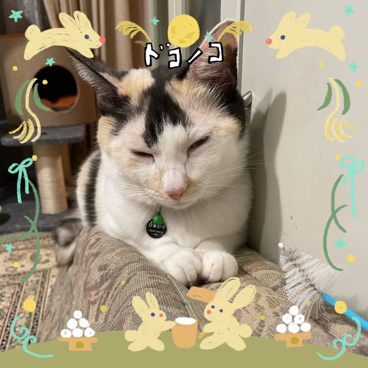 9a6a6729 3413 4b31 aeec c818af7e0017 1727093695964