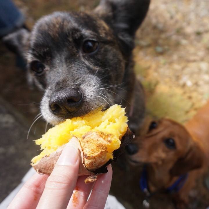 9a6a7bab 9cad 4d2d a5d4 d934ee6fbbea 1524928143096