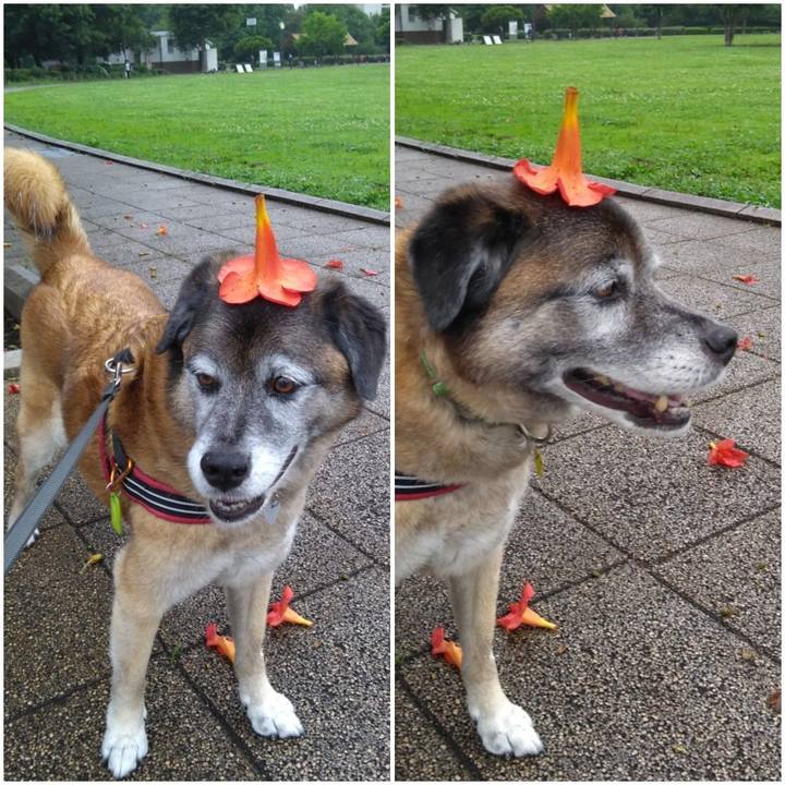 9a6a8e68 9547 45f3 b9f4 c992580ffcf7 1562024980060