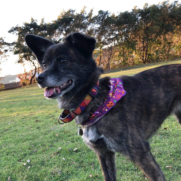 9a6a9433 4636 445e bd54 2d3a371f7280 1573653298645