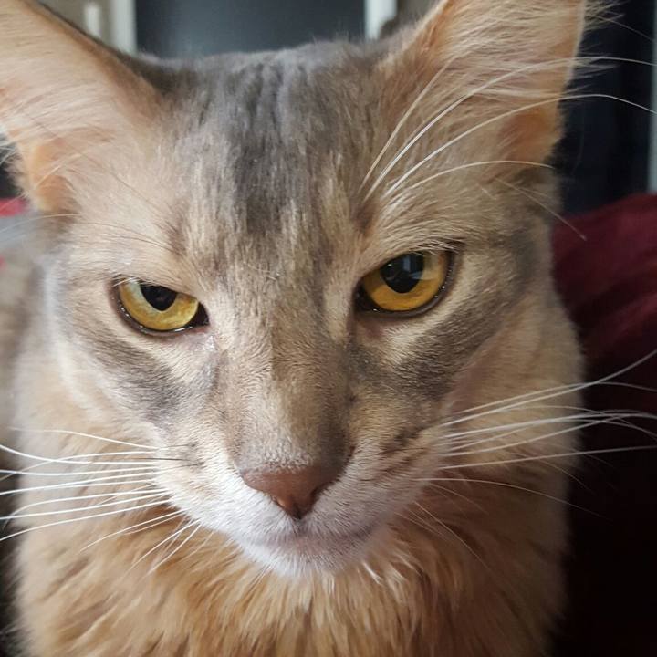 9a6ac696 b1cd 4930 89aa 6a55a9ac98cb 1553323082242