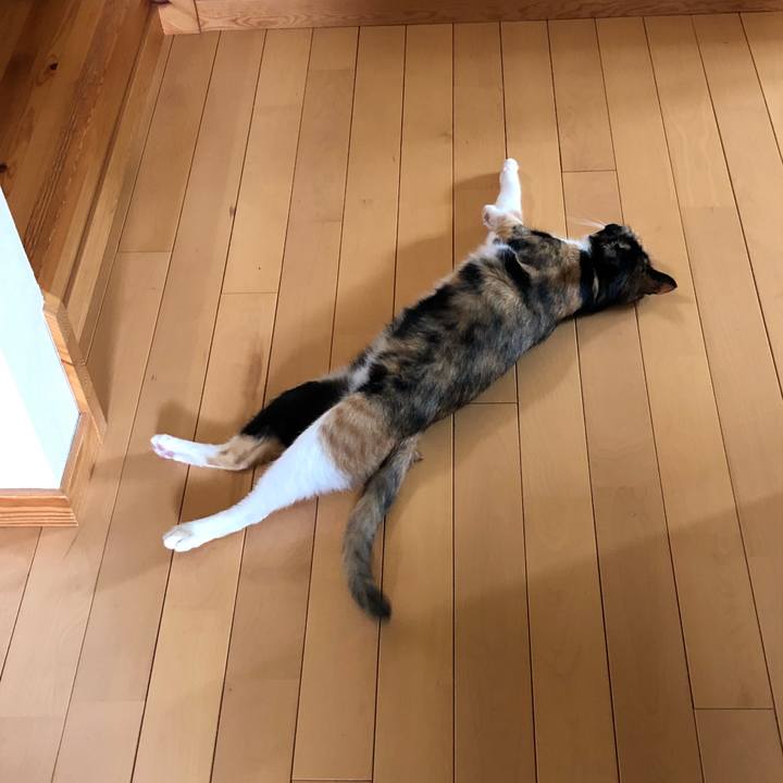 9a6ad983 f015 4bda a4a7 a84829c127d9 1530702268039