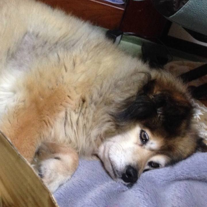 9a6aebf2 da34 483f 8809 a04a4d4582c8 1609214912261