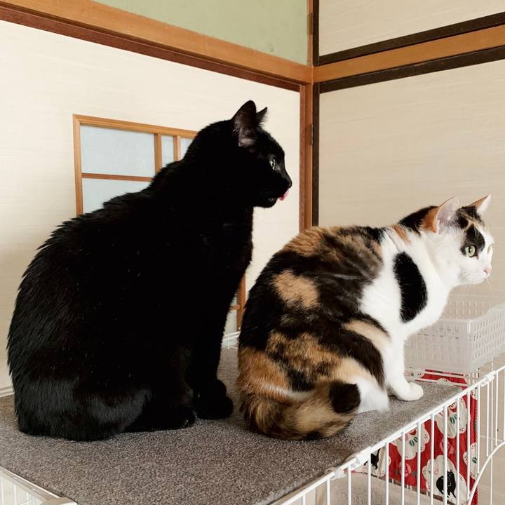 9a6afbc8 e467 4b80 8eb1 b0402198f8c1 1553046999884