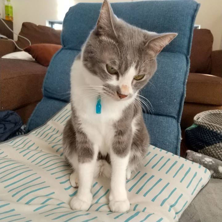 9a6afd8a 1ab2 4af9 82d5 ab320216a9aa 1638628611915