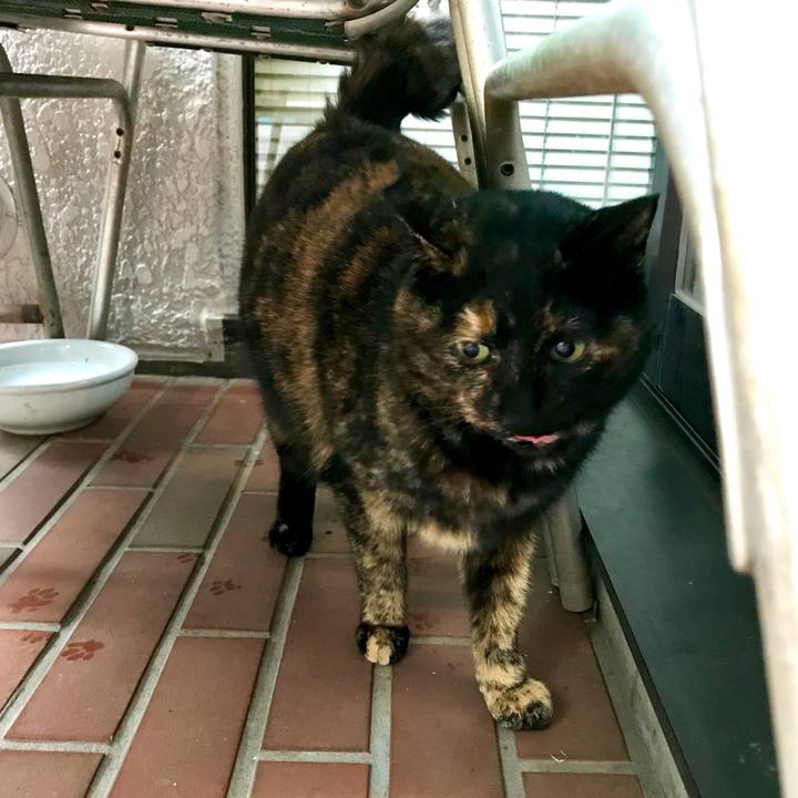 9a6b500e 2837 4e12 b9ad 95f19ca5e9e8 1520475536870