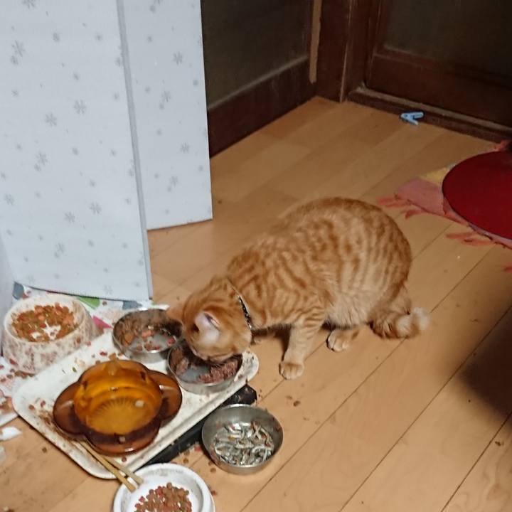 9a6b9fc5 39bf 4c70 8a2b 888aa106109a 1646599935411