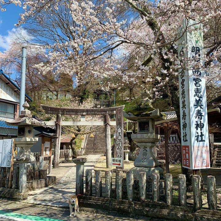 9a6ba481 793e 44a6 9f93 f7d6a5f3fdce 1680078927284