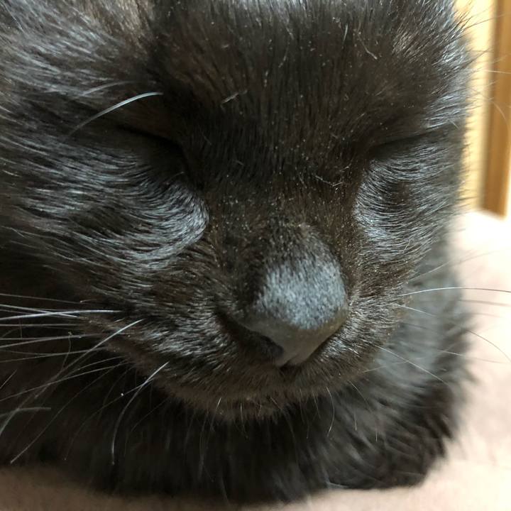 9a6bb5f7 628c 4148 b4d1 9d463f7ee68c 1613736997036