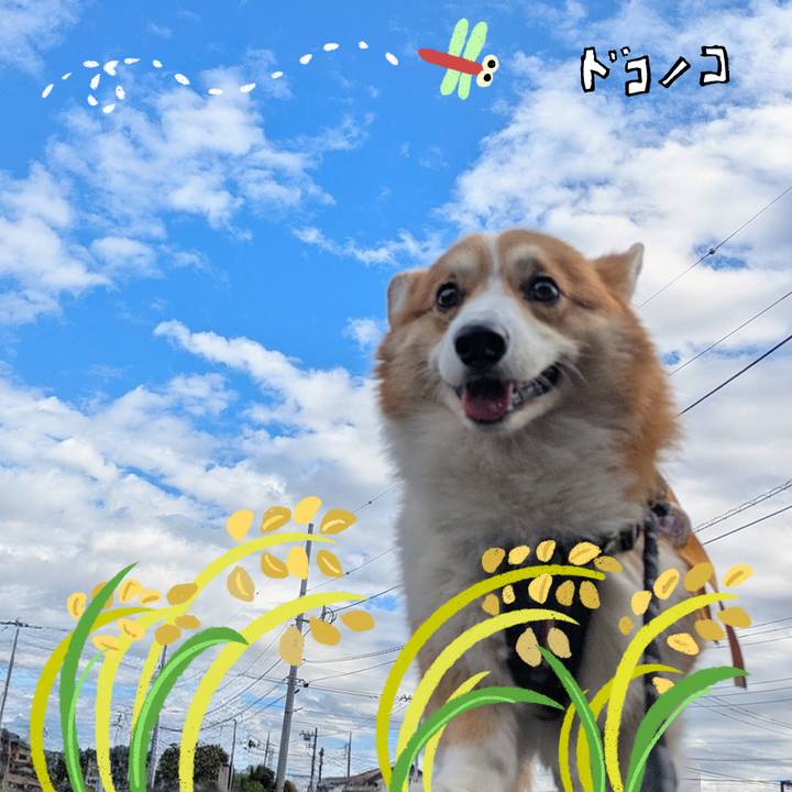 9a6be813 bfae 4797 bbba 7b8c601f8698 1761526670027