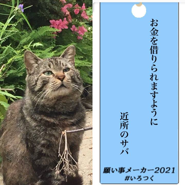 9a6bf135 71dd 4261 905c 9413a2e3fe79 1625651443805