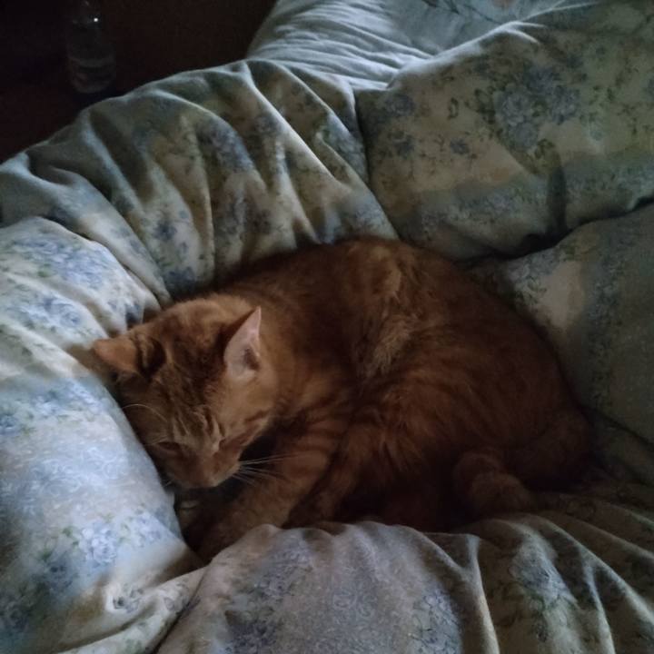 9a6c0fd7 059d 4ef4 a18c ea4dfee443a3 1664318219750