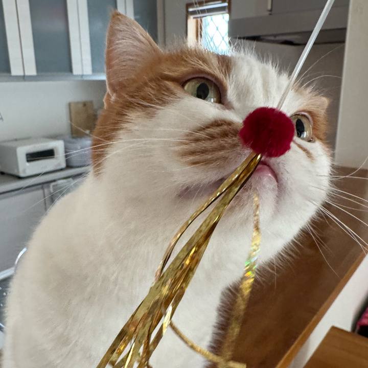 9a6c21da 8fc7 4bc6 a1e1 5216019547db 1766630108897