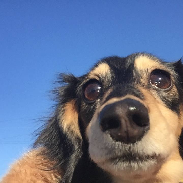 9a6c483a a1db 4796 b739 ff688a5bd743 1513816112482