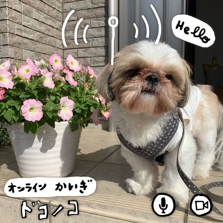 9a6c66b5 5111 477c 8ea9 2a7963266891 1590804458871