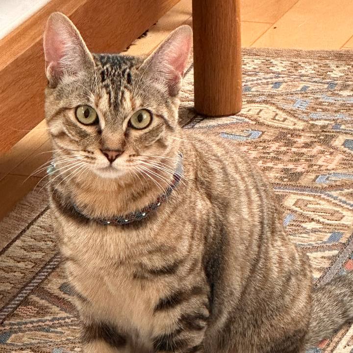 9a6c7f72 2b9e 4831 bcf1 e77e83fb9a6b 1718108658525