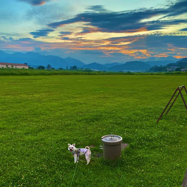 9a6c8f9a 5ab8 4667 89a1 8da81fab4867 1722259188636