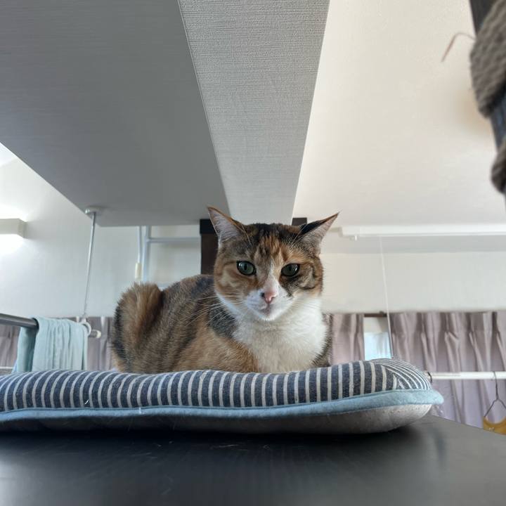 9a6cca98 1f17 4b7d b839 18443a0c8907 1697693036864