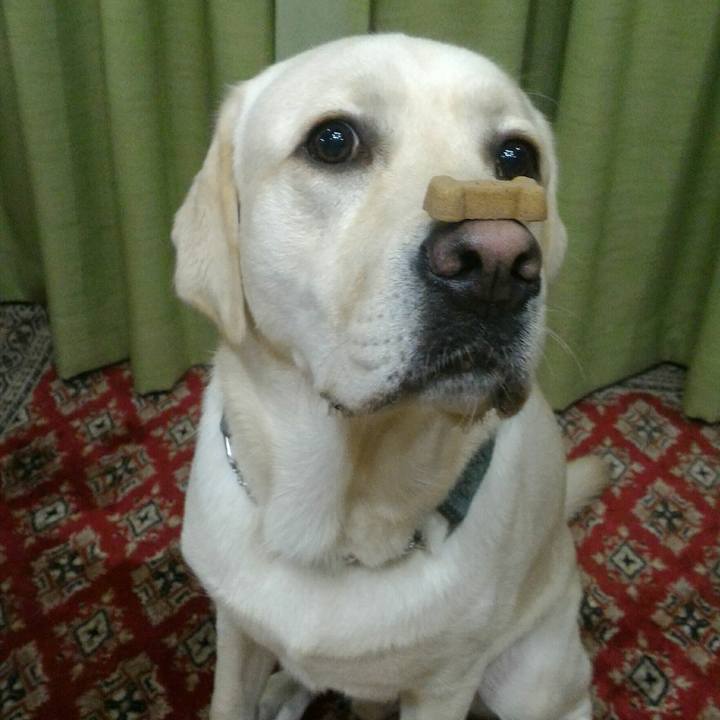 9a6ced4a 13d8 4a98 8428 5a735d5f8082 1507635618898