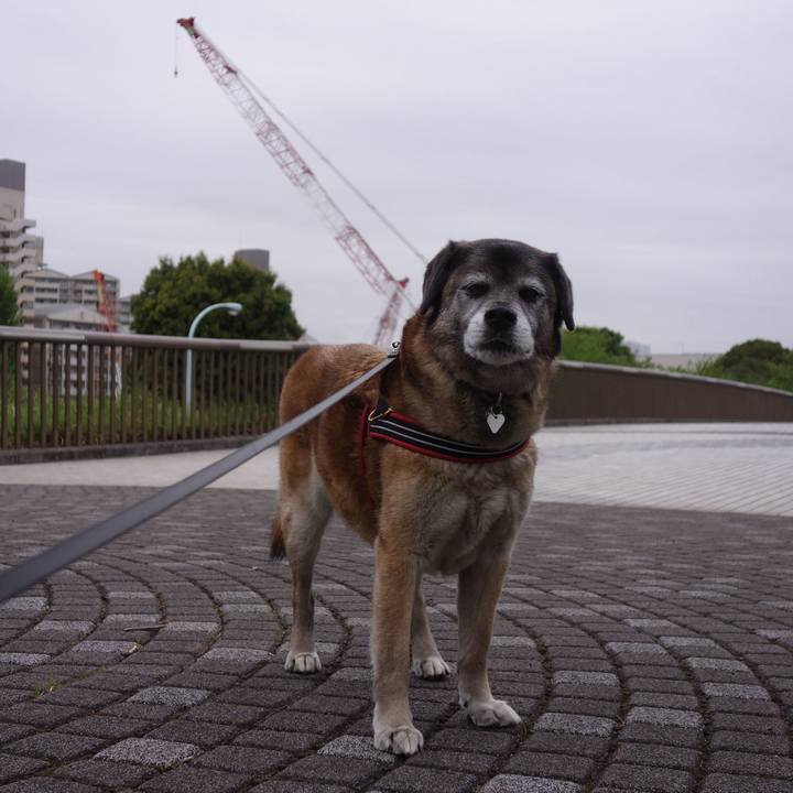 9a6cf333 a50d 4bb3 b180 001e35f4653a 1523928280466