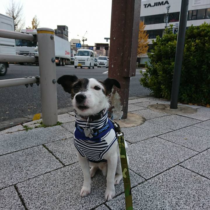 9a6cf52a 4576 4f20 9c1a bfd15d8ef072 1512943176582