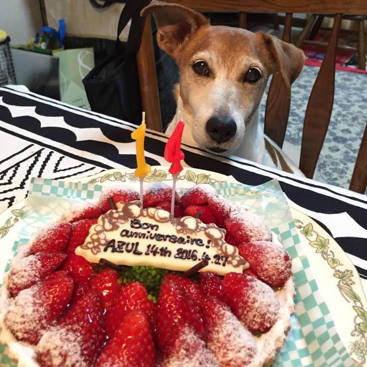 9a6d4221 baaa 4eb2 9df6 73ceeda70bae 1590825569083