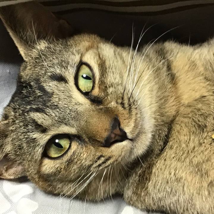 9a6d8c47 539a 4e3e be74 f63340d97a03 1576497889478