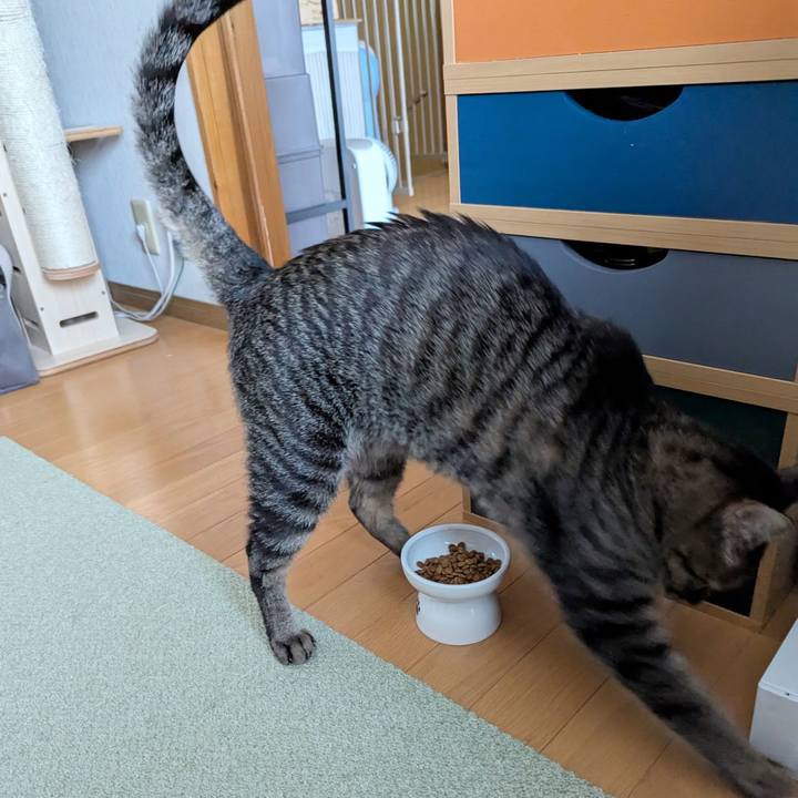 9a6dd04d c7a0 4f68 897c 248009c44afe 1751004347078