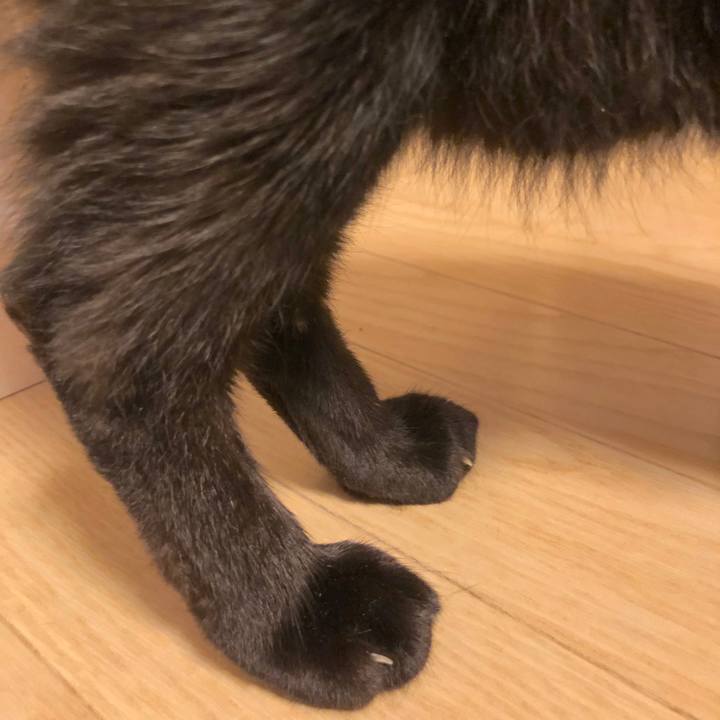 9a6de212 2838 4b96 a533 d886a77cfec7 1560606892901