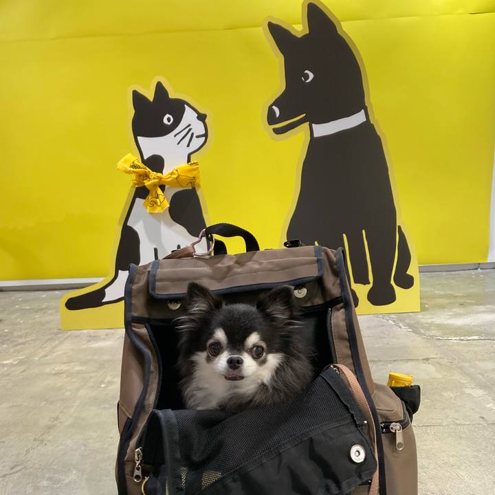 9a6dfc06 75be 4b5b 9e5d c1f7dafcff99 1761210422277