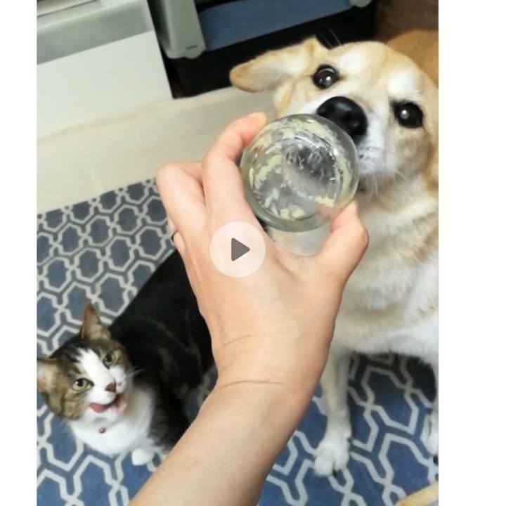 9a6e6db3 27c0 4d3d ba69 1a9b69a46a3e 1564792622094