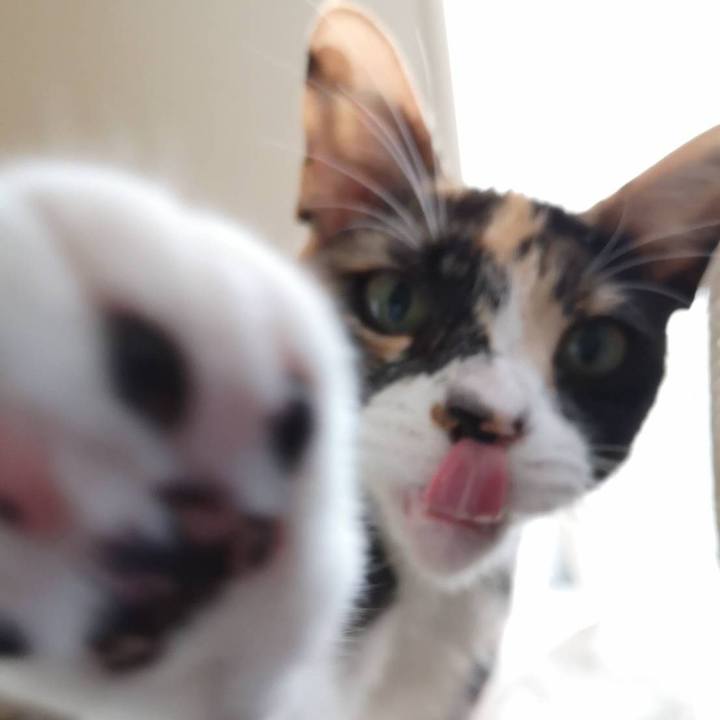 9a6e9fd7 5ece 42ad b777 15518933d099 1601515901741