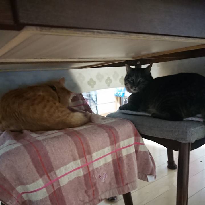 9a6ec2c7 54f6 4e15 bd08 e406b7c4c1f7 1644526821314