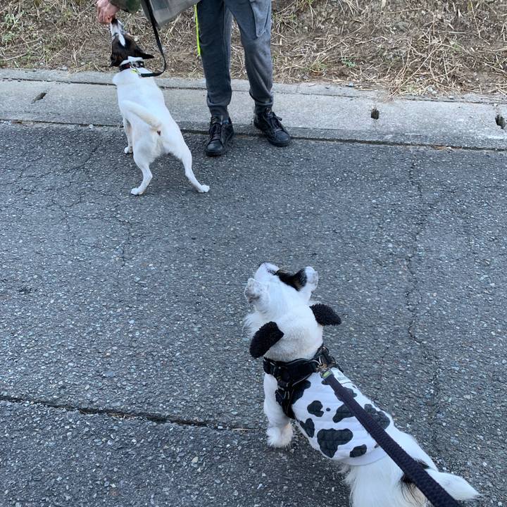 9a6ee174 2f1d 4256 8ac4 a83d457a20bd 1733528445875