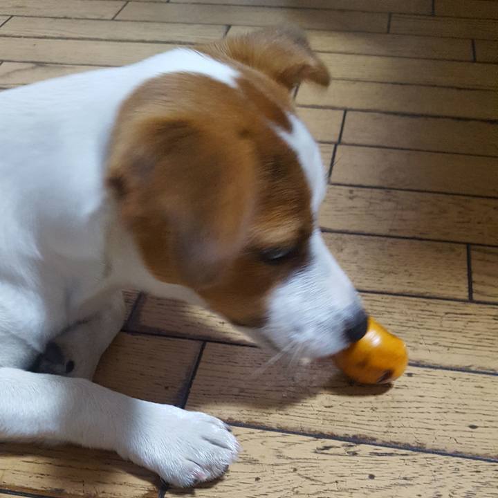 9a6f3c55 c420 467d 800c 174de7f0eb48 1559291395275