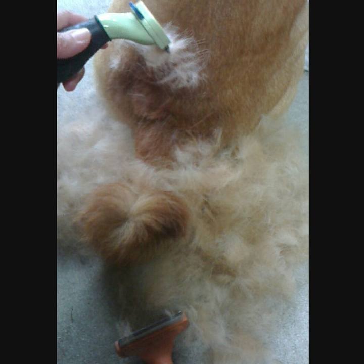 9a6f5fdb 51f6 4a24 be08 5a09ba9c5b76 1569058420246