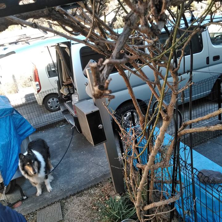 9a6fa2c4 666d 4119 9e87 9d860228d290 1548601801565