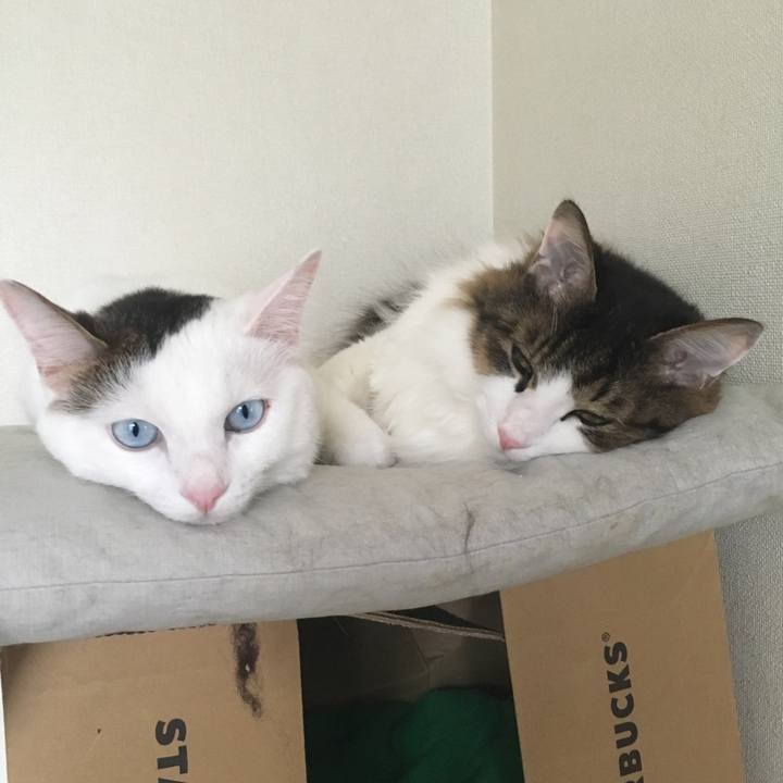 9a6fd97c eb48 41a9 807c 85557da9ace5 1568330600207