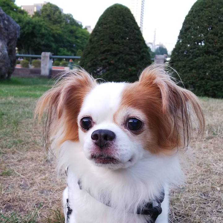 9a6ff221 d106 49ce aa99 4c6846d3fd45 1695006996993