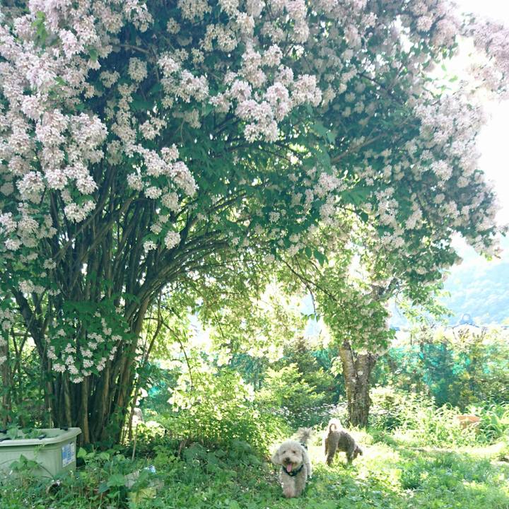 9a703043 f0eb 4489 b51e 12c88deb5a57 1527922546961