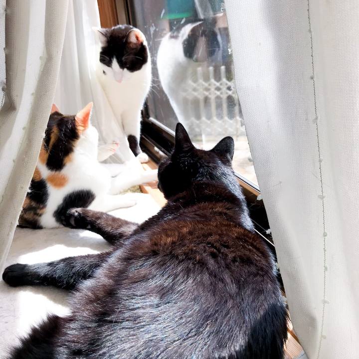 9a704ef4 d924 4b9d 9260 e7b00311cdc7 1524792490449