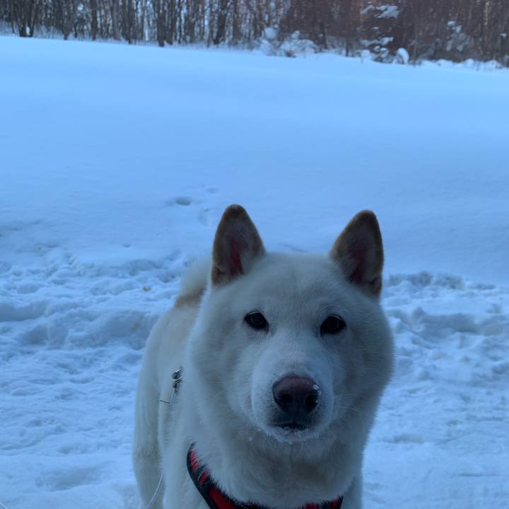 9a70677a 8944 44ab 9fdf f5d88aae6d4a 1612421492270