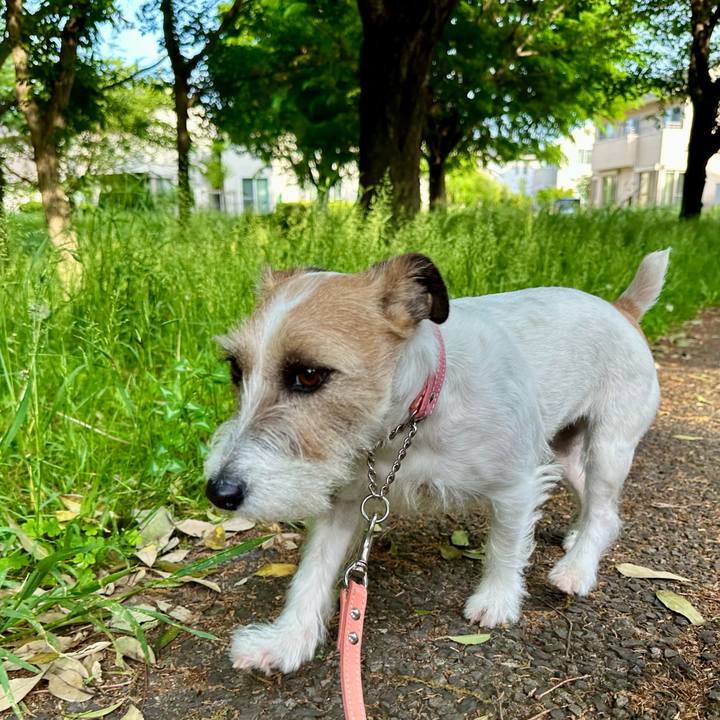 9a706993 7ec0 4d94 88cd b83a7e67a8f7 1714990866468