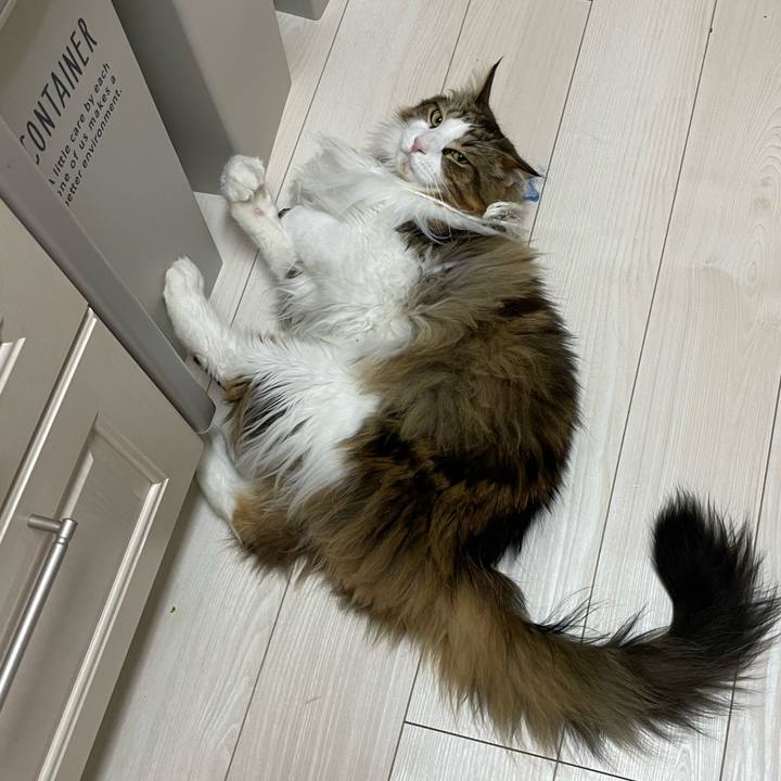 9a706f93 893a 4044 a4fe 9837b9f26354 1680724511941