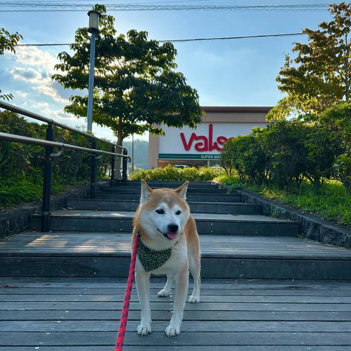 9a707500 038e 46d0 b715 84d6f998e2ef 1725795151845