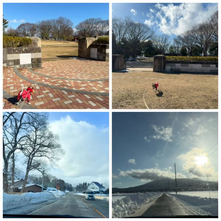 9a709e2b 9ed2 4359 b6e7 b9741e313f20 1770638961677