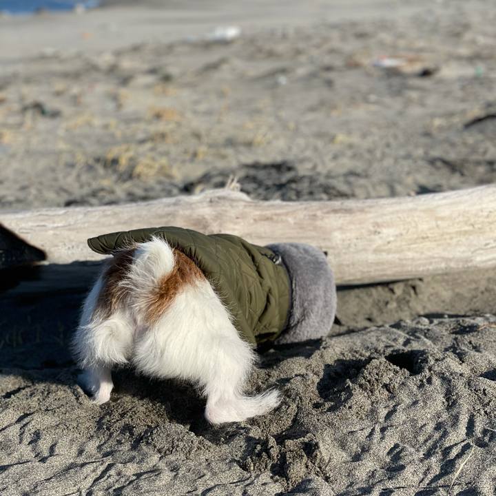 9a70a424 8b2f 48b2 9625 1d1e70eeeae7 1613173825136