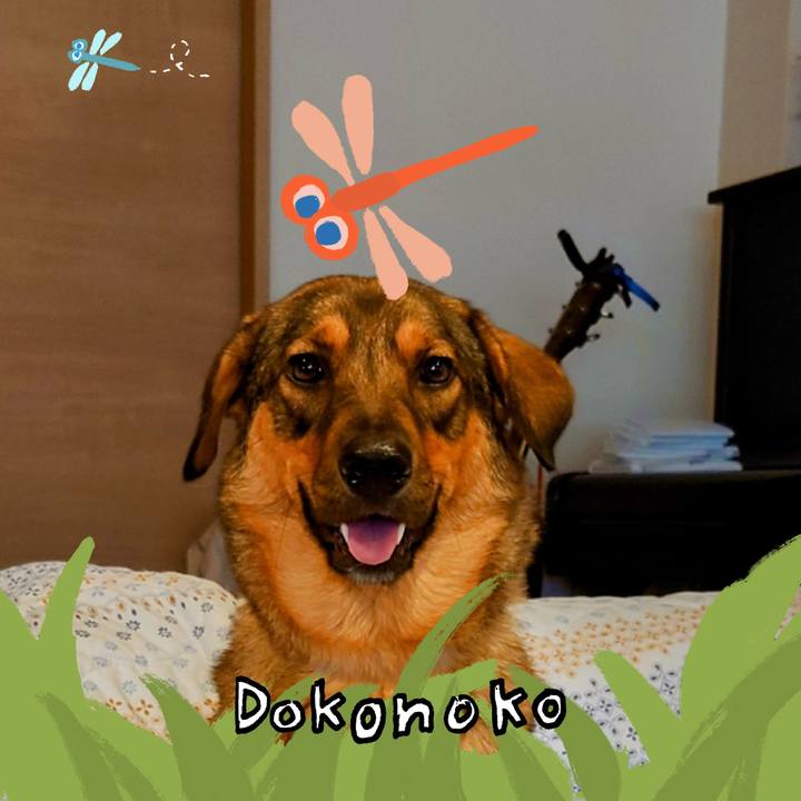 9a710a62 81dd 4732 8e18 176d04ed401a 1726818484149