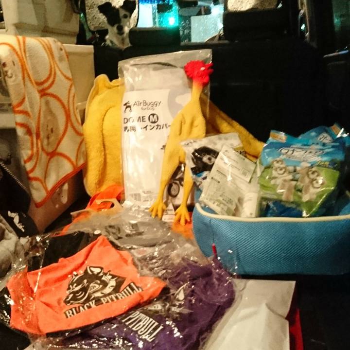 9a710e26 d7fe 47f3 8908 24315f1f9a15 1571482471531