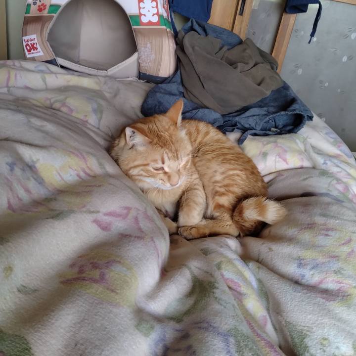 9a7120b0 a528 43f0 bbe8 f779f2a177ed 1682917593669